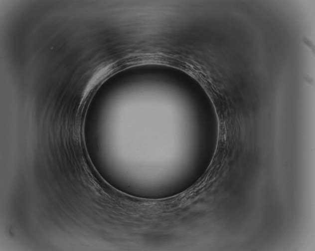 X0000093230004200709261701