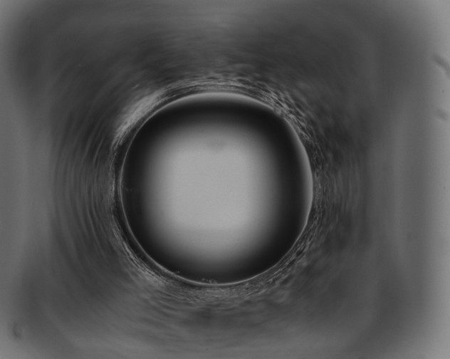 X0000093230005200709261701