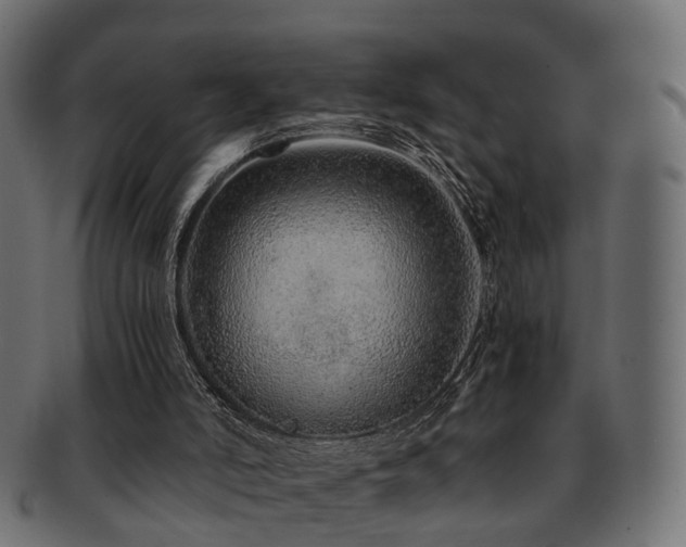 X0000093230006200709261701