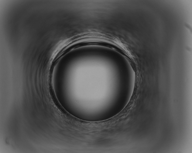 X0000093230007200709261701
