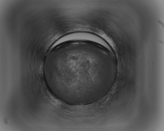 X0000093230009200709261701