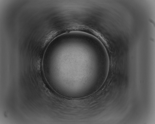 X0000093230010200709261701