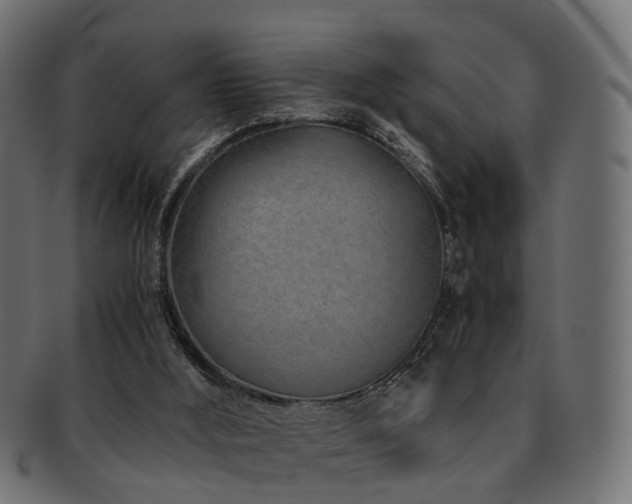 X0000093230012200709261701