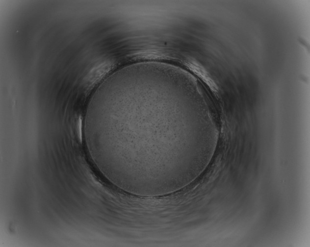X0000093230014200709261701