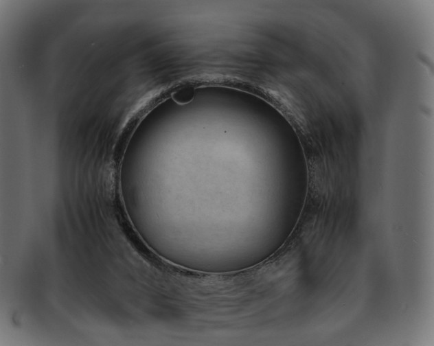 X0000093230016200709261701