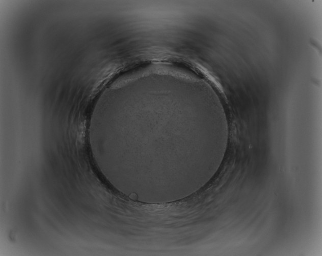X0000093230018200709261701