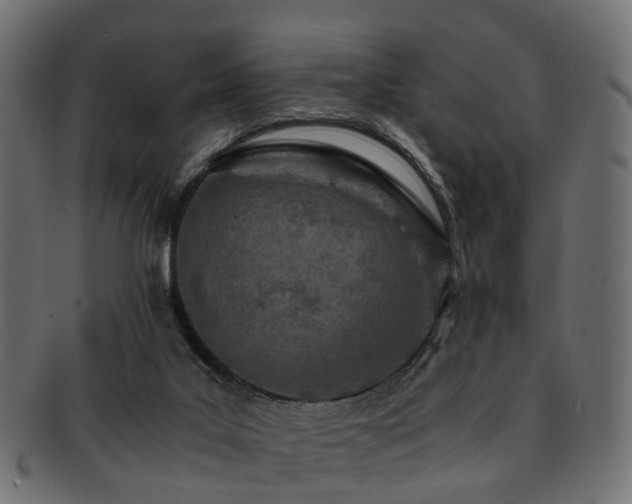 X0000093230019200709261701