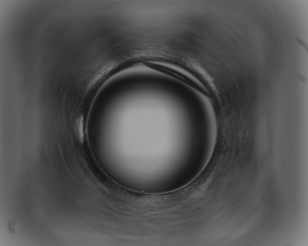 X0000093230020200709261701