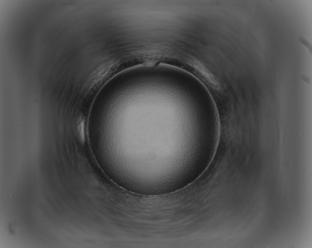 X0000093230022200709261701