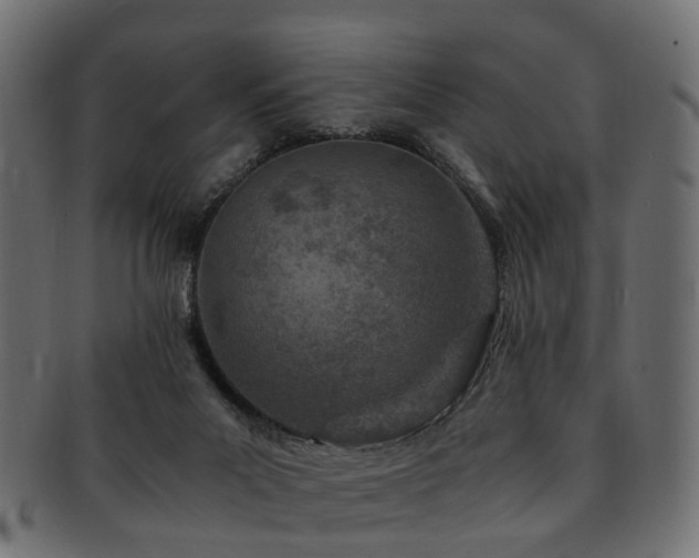 X0000093230023200709261701