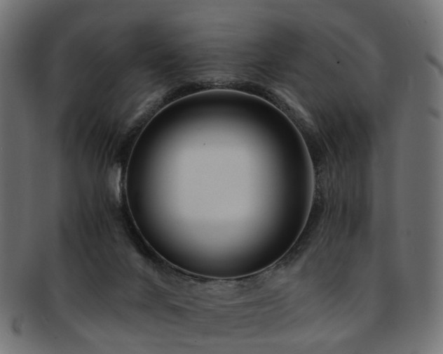 X0000093230024200709261701