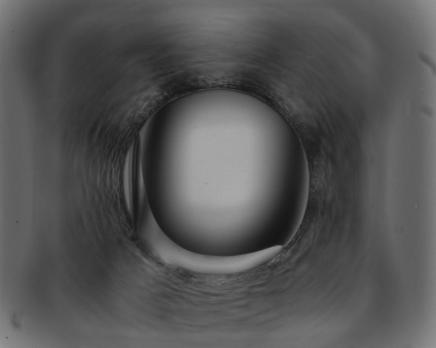 X0000093230025200709261701