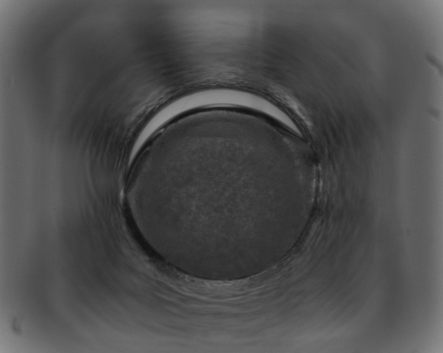 X0000093230027200709261701
