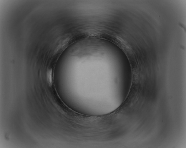 X0000093230028200709261701