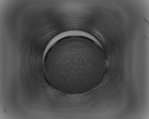 X0000093230029200709261701