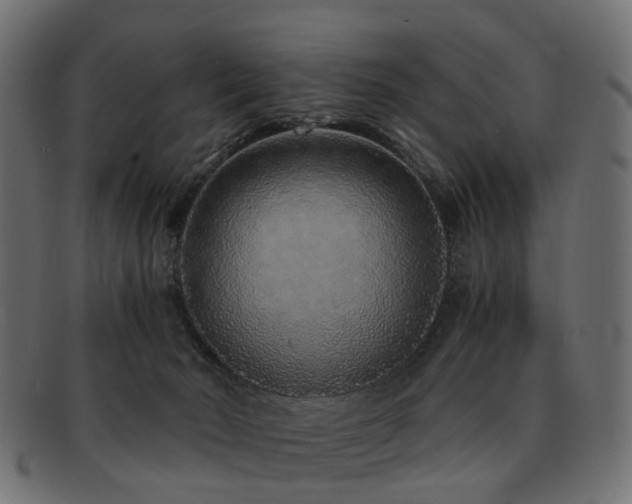 X0000093230030200709261701