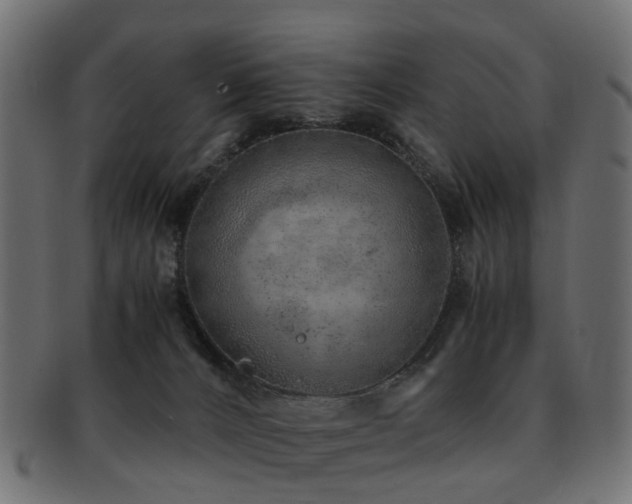X0000093230032200709261701