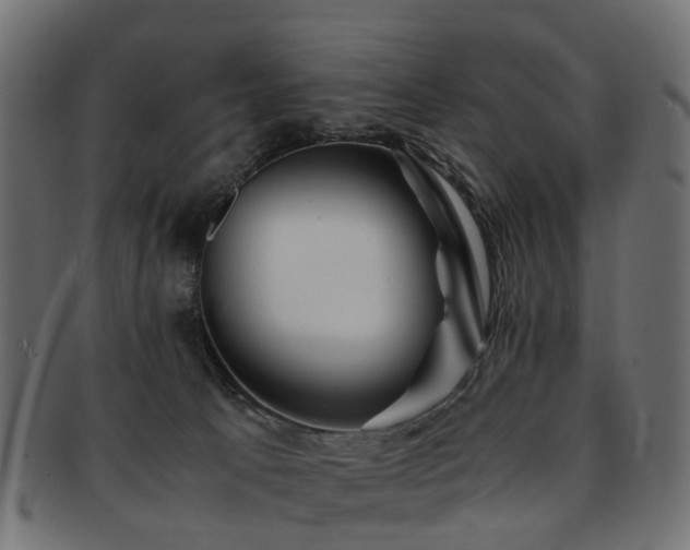 X0000093230033200709261701