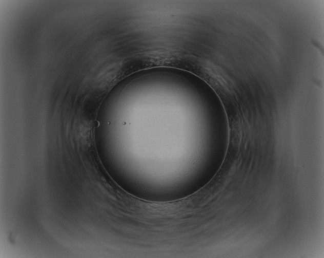 X0000093230034200709261701