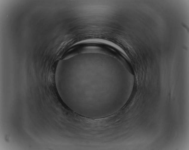 X0000093230035200709261701