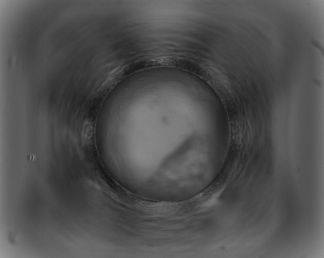 X0000093230036200709261701