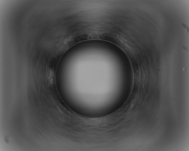 X0000093230038200709261701