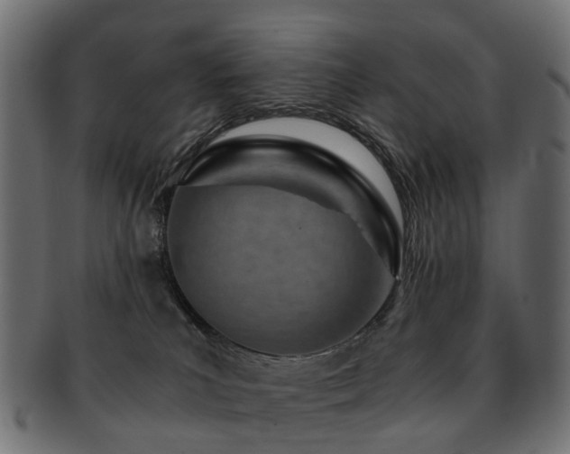 X0000093230039200709261701