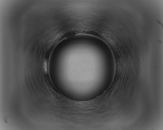 X0000093230042200709261700