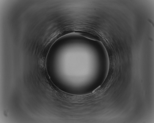 X0000093230044200709261700