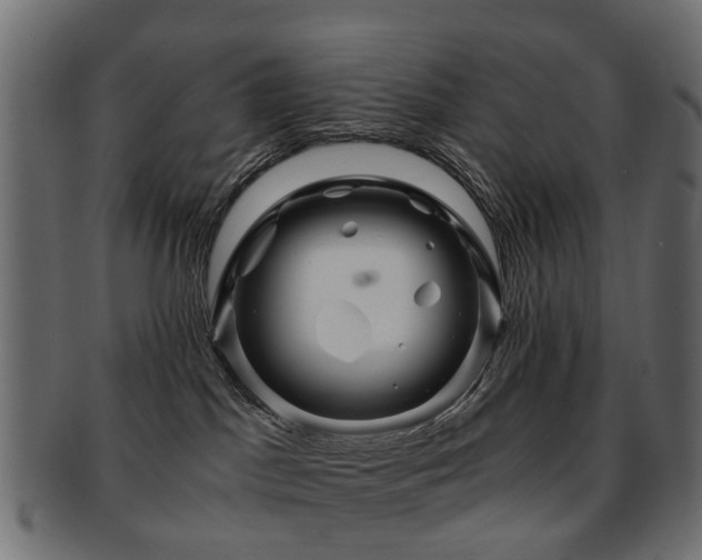 X0000093230045200709261700