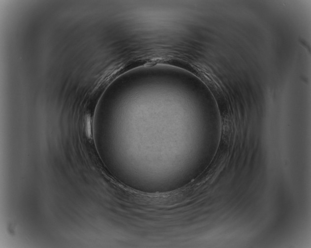 X0000093230046200709261700