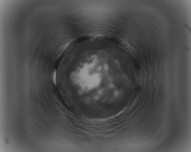 X0000093230047200709261700