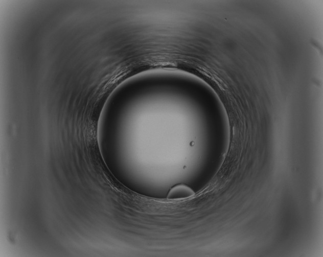 X0000093230048200709261700