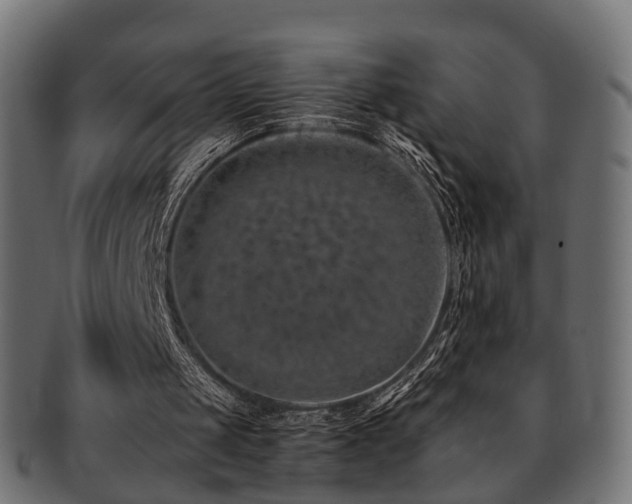 X0000093230049200709261700