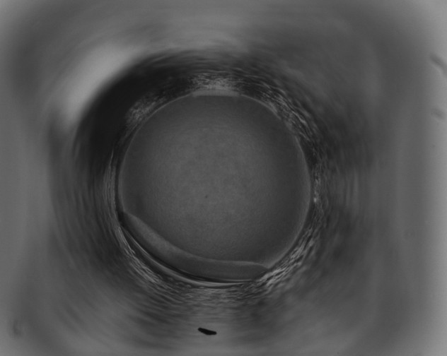 X0000093230052200709261700