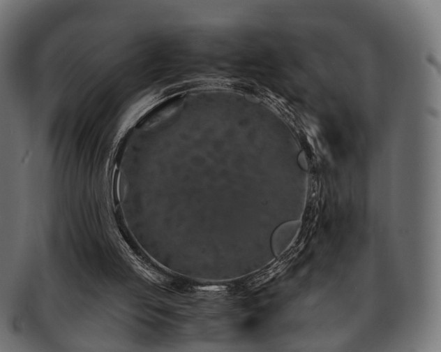 X0000093230053200709261700