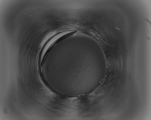 X0000093230054200709261700