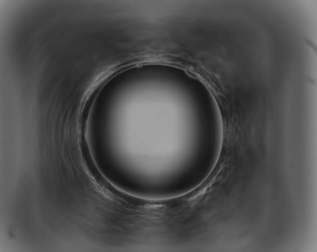 X0000093230055200709261700