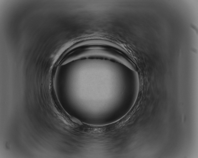 X0000093230056200709261700
