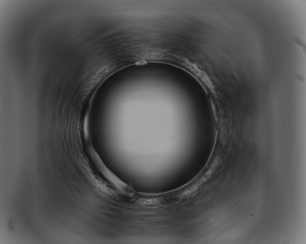 X0000093230057200709261700