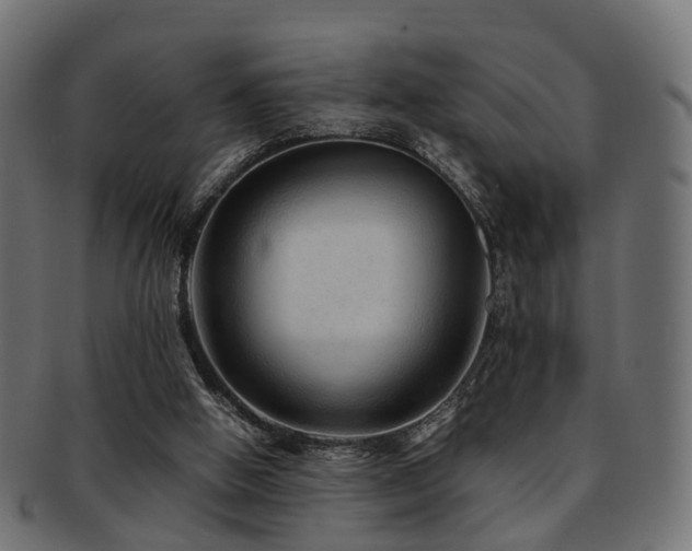 X0000093230058200709261700