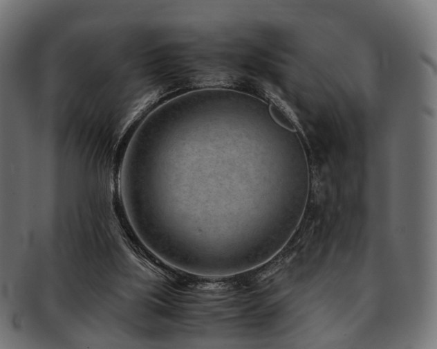 X0000093230059200709261700