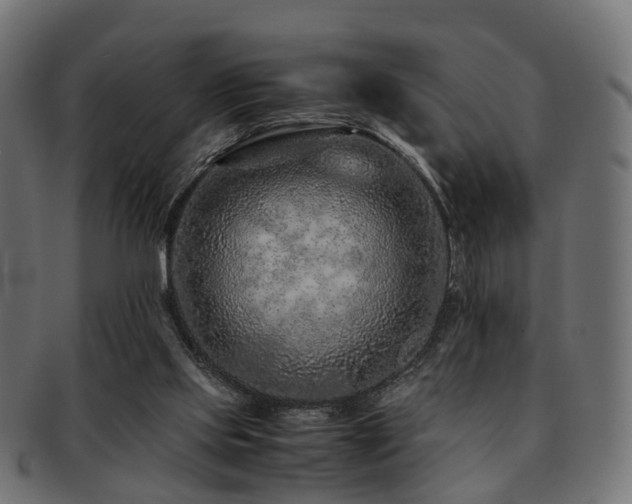 X0000093230061200709261700
