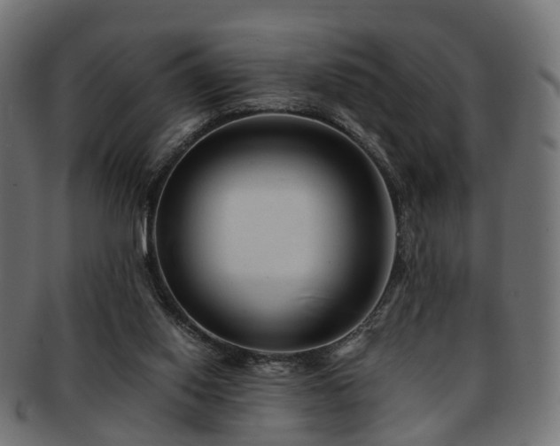 X0000093230062200709261700