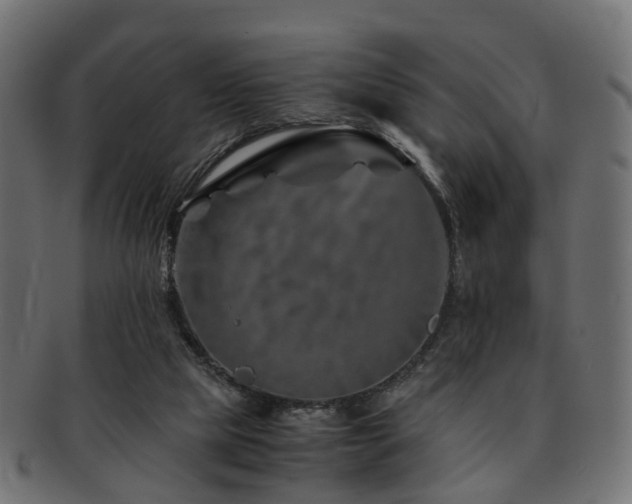 X0000093230065200709261700