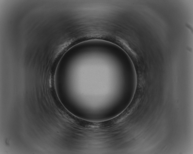 X0000093230068200709261700