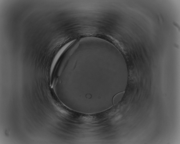 X0000093230069200709261700