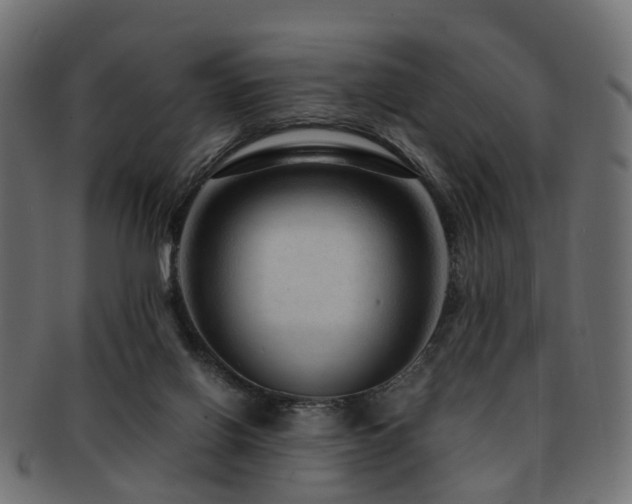 X0000093230070200709261700
