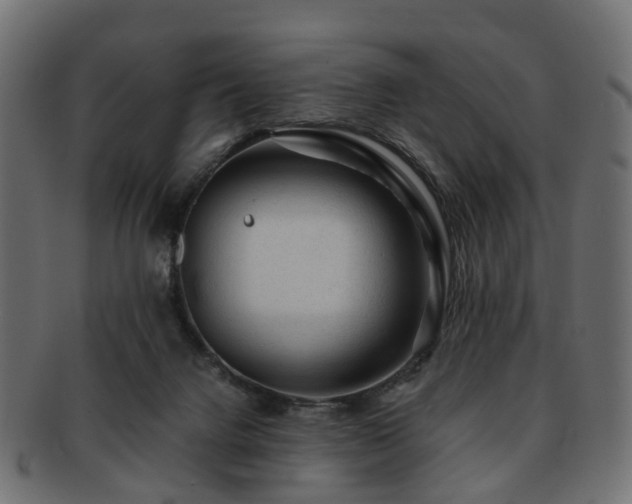 X0000093230072200709261700