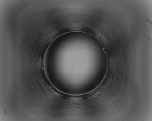 X0000093230073200709261700